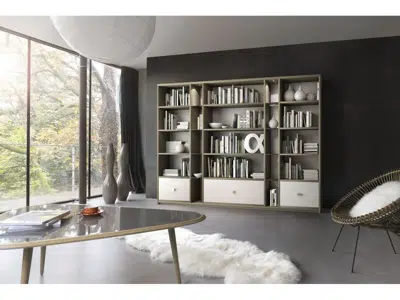 2-Modulable bibliothèque sur mesure
