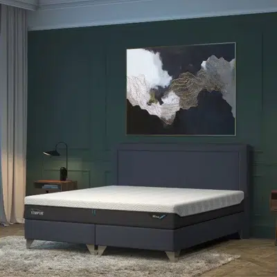 Matelas thermosensible 25 cm Soft