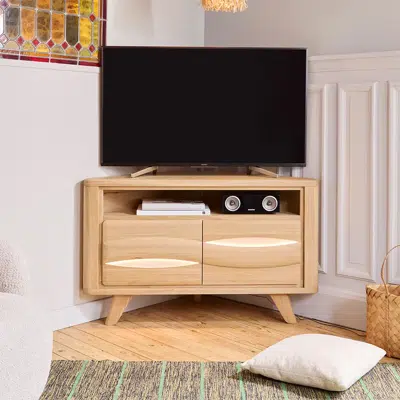 Meuble TV 2 portes 1 niche