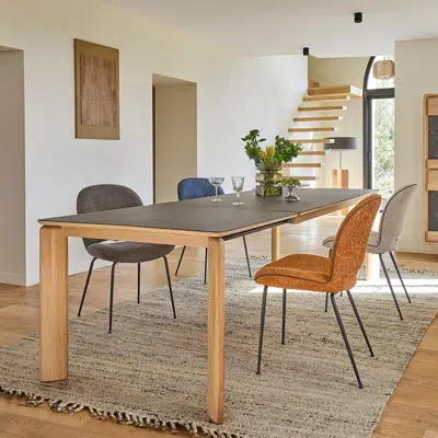 Table de repas extensible