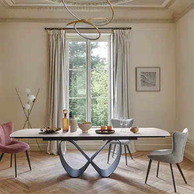 Table de repas extensible