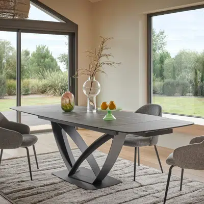 Table de repas extensible