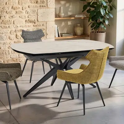 Table ovale extensible