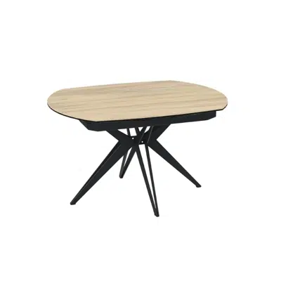 Table ovale extensible
