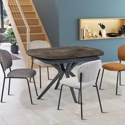 Table ovale extensible