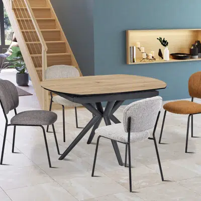 Table ovale extensible