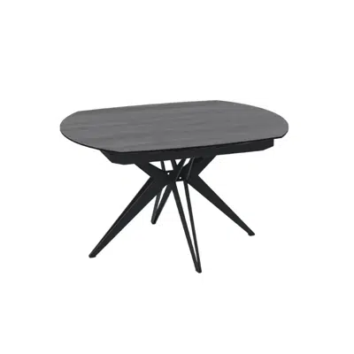 Table ovale extensible