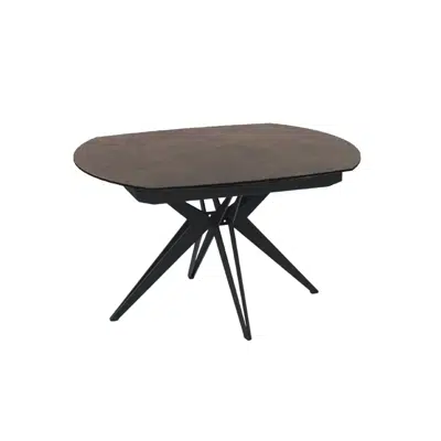 Table ovale extensible