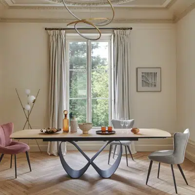 Table de repas extensible