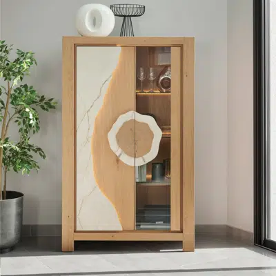 Vitrine 2 portes